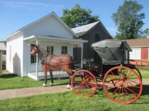 2022-Dr-Office,-horse,-carriage-2082